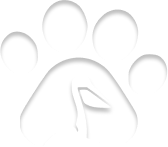 PelicanoLogo__blanco